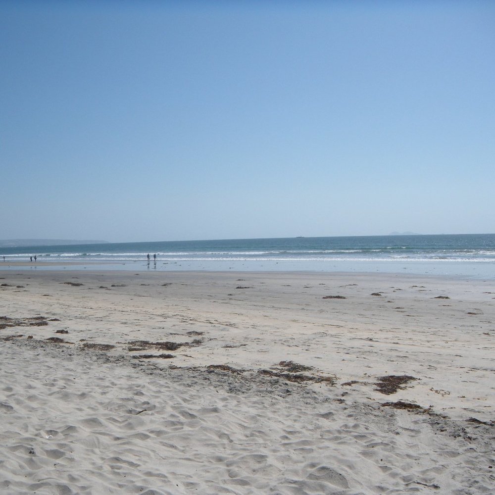 Meet your Posher, Dee